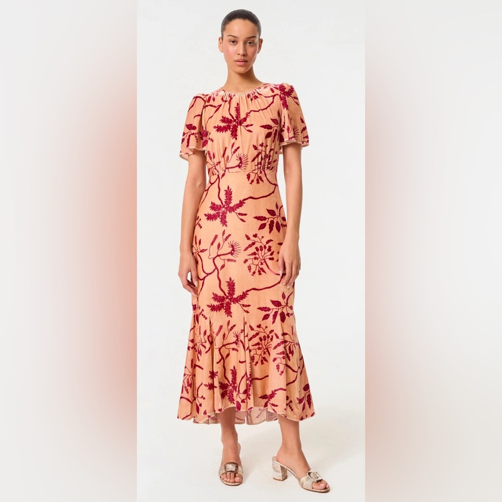 Velvet Arabella Dress NWT